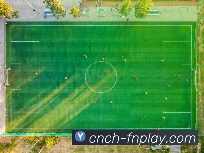 蜂鸟电竞平台品牌故事