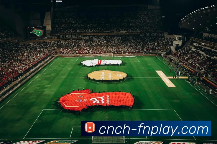 蜂鸟电竞平台服务体系