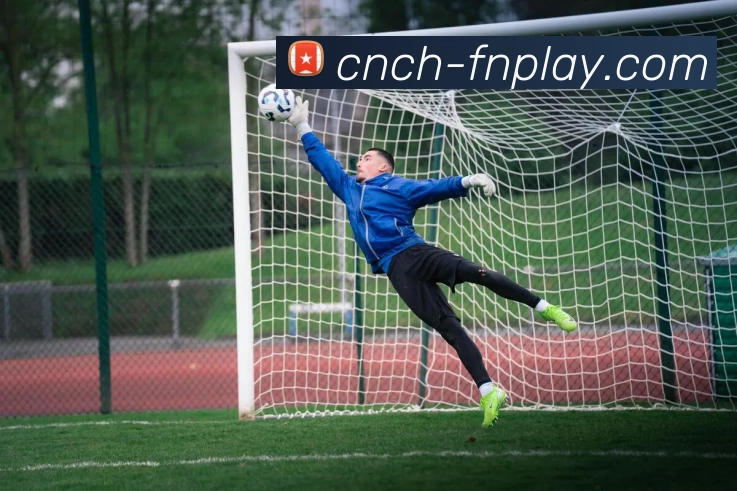 蜂鸟电竞平台APP 体育赛事宣传图